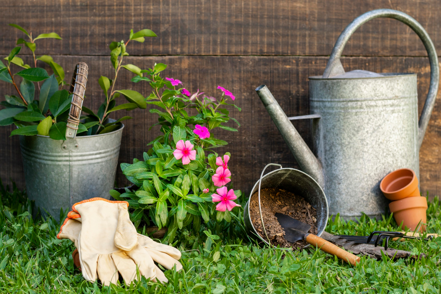 Finding Local Garden Maintenance Services Near Me: A Guide to Transforming Your Outdoor Space